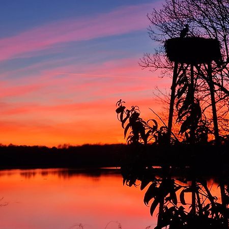 Tercis-les-Bains Domaine Castetbieilh Bed & Breakfast エクステリア 写真